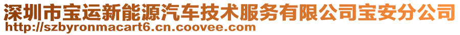 深圳市寶運(yùn)新能源汽車技術(shù)服務(wù)有限公司寶安分公司