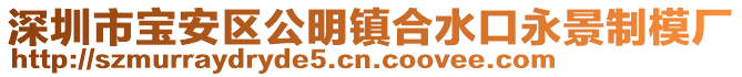 深圳市宝安区公明镇合水口永景制模厂