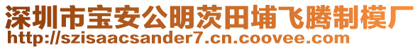 深圳市寶安公明茨田埔飛騰制模廠