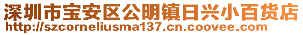 深圳市寶安區(qū)公明鎮(zhèn)日興小百貨店