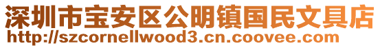 深圳市寶安區(qū)公明鎮(zhèn)國民文具店