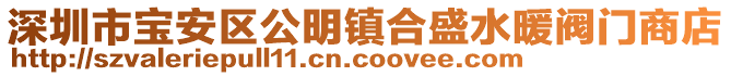 深圳市寶安區(qū)公明鎮(zhèn)合盛水暖閥門(mén)商店