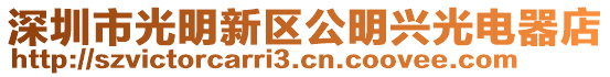 深圳市光明新區公明興光電器店
