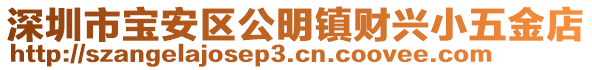 深圳市寶安區(qū)公明鎮(zhèn)財(cái)興小五金店