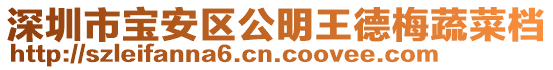 深圳市寶安區(qū)公明王德梅蔬菜檔