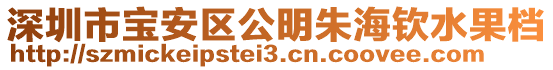 深圳市寶安區(qū)公明朱海欽水果檔
