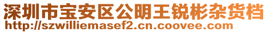 深圳市寶安區(qū)公明王銳彬雜貨檔