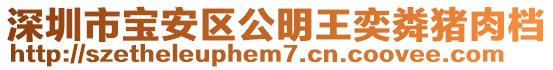 深圳市寶安區(qū)公明王奕粦豬肉檔