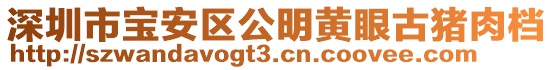深圳市寶安區公明黃眼古豬肉檔