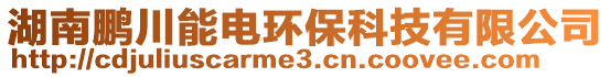 湖南鵬川能電環(huán)保科技有限公司