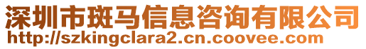 深圳市斑馬信息咨詢有限公司