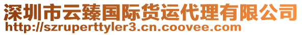 深圳市云臻國(guó)際貨運(yùn)代理有限公司