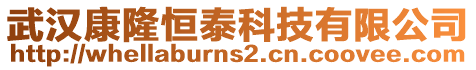 武漢康隆恒泰科技有限公司