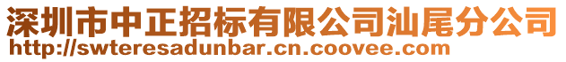 深圳市中正招标有限公司汕尾分公司