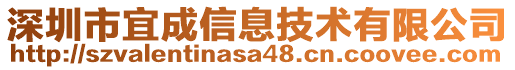 深圳市宜成信息技術(shù)有限公司