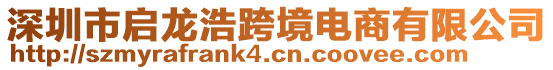 深圳市啟龍浩跨境電商有限公司