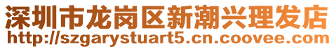 深圳市龍崗區(qū)新潮興理發(fā)店