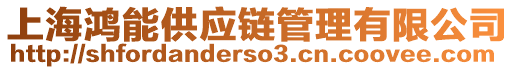 上海鴻能供應(yīng)鏈管理有限公司