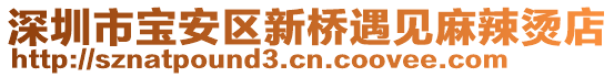 深圳市寶安區(qū)新橋遇見麻辣燙店