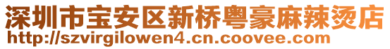 深圳市寶安區(qū)新橋粵豪麻辣燙店