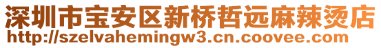 深圳市宝安区新桥哲远麻辣烫店