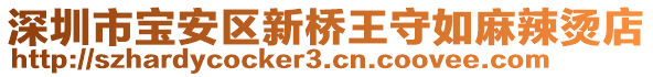 深圳市寶安區(qū)新橋王守如麻辣燙店