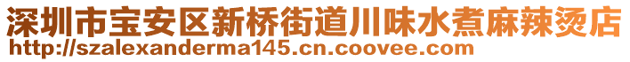 深圳市宝安区新桥街道川味水煮麻辣烫店