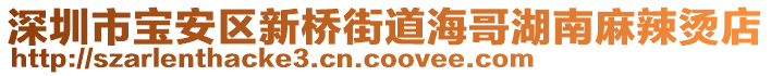 深圳市寶安區(qū)新橋街道海哥湖南麻辣燙店