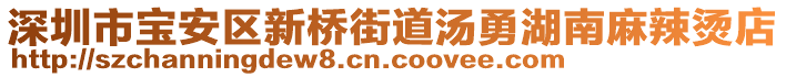 深圳市寶安區(qū)新橋街道湯勇湖南麻辣燙店