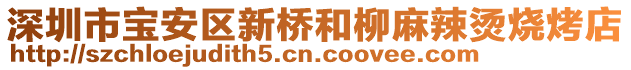 深圳市寶安區(qū)新橋和柳麻辣燙燒烤店