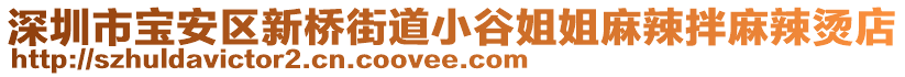 深圳市寶安區(qū)新橋街道小谷姐姐麻辣拌麻辣燙店