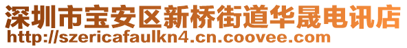 深圳市宝安区新桥街道华晟电讯店