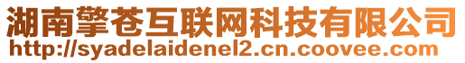 湖南擎蒼互聯(lián)網(wǎng)科技有限公司