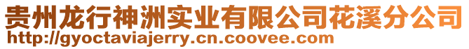 貴州龍行神洲實業(yè)有限公司花溪分公司