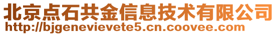 北京点石共金信息技术有限公司