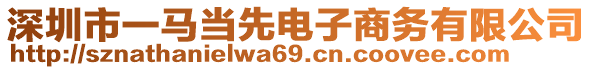 深圳市一馬當(dāng)先電子商務(wù)有限公司