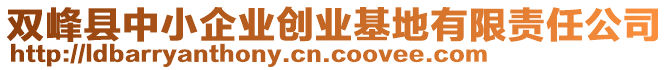 雙峰縣中小企業(yè)創(chuàng)業(yè)基地有限責(zé)任公司