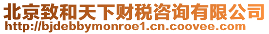 北京致和天下財(cái)稅咨詢有限公司