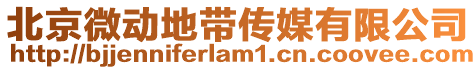 北京微動(dòng)地帶傳媒有限公司