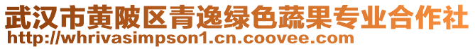 武汉市黄陂区青逸绿色蔬果专业合作社