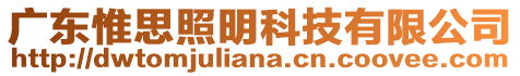 广东惟思照明科技有限公司