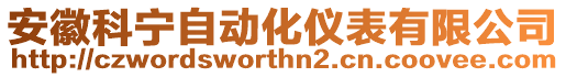 安徽科寧自動化儀表有限公司