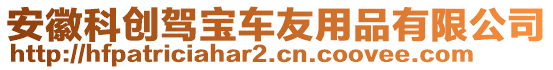 安徽科創(chuàng)駕寶車友用品有限公司