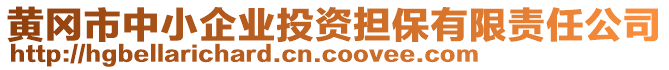 黃岡市中小企業(yè)投資擔(dān)保有限責(zé)任公司