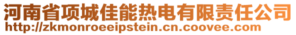 河南省項(xiàng)城佳能熱電有限責(zé)任公司