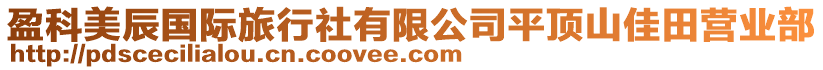 盈科美辰国际旅行社有限公司平顶山佳田营业部