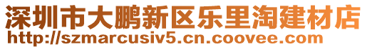 深圳市大鵬新區(qū)樂(lè)里淘建材店