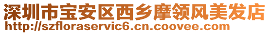 深圳市寶安區(qū)西鄉(xiāng)摩領(lǐng)風(fēng)美發(fā)店