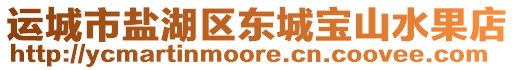 運城市鹽湖區(qū)東城寶山水果店