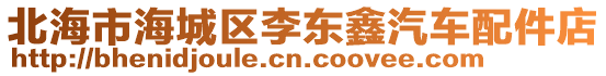 北海市海城區(qū)李東鑫汽車配件店